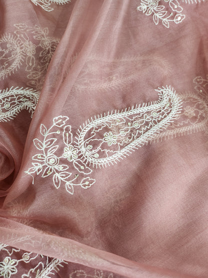 Paisley Design with Sequence work & embroidery Pink color Organza