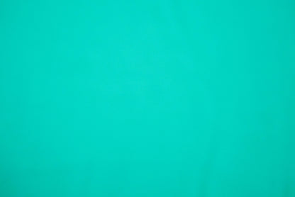 Turquoise Color Georgette Plain